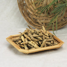 Load image into Gallery viewer, *** 野生花旗參短支中小號 Wild Ginseng Half Short MS.  2oz