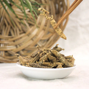 *** 野生花旗參短支中小號 Wild Ginseng Half Short MS.  2oz