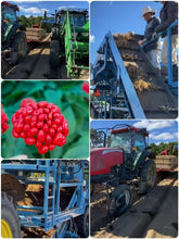 Load image into Gallery viewer, 第九屆花旗參之旅報名現在開始報名/The 9th Annual Ginseng Tour 2026 is now Open for Registration