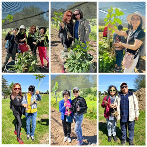 第八屆花旗參之旅報名/Ginseng Trip Registration )
