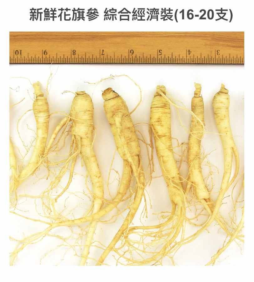新鮮花旗參-綜合經濟裝號Fresh Am. Ginseng Ungraded Mixed/8oz(16-20支)$55/2包