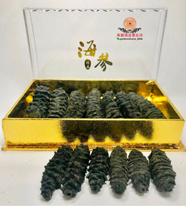 巨大號中美洲岩刺參禮盒裝Wild Sea Cucumber(Jumbo) Gift Set，10oz（6-10頭）七五折優惠(售完即止)