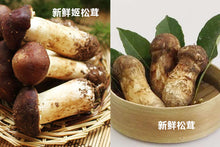 Load image into Gallery viewer, GS126 有機姬松茸Dried Agaricus，4 oz