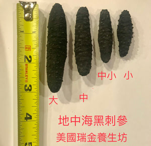 中號地中海特選黑刺參Mediterranean Black Sea Cucumber M. 8oz（35-40頭）