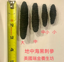 Load image into Gallery viewer, 小號地中海黑刺參(Mediterranean Black Sea Cucumber S.),16oz（105-110頭）