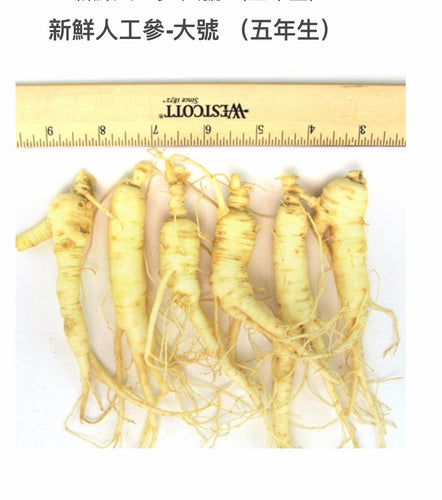 新鮮花旗參-大號Fresh Am. Ginseng L, 8oz(12-15支)