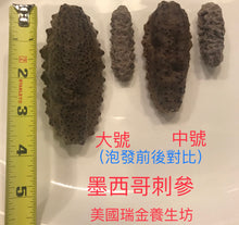 Load image into Gallery viewer, 中號墨西哥野刺參Wild Sea Cucumber from Gulf of Mexico M. 8oz/16oz